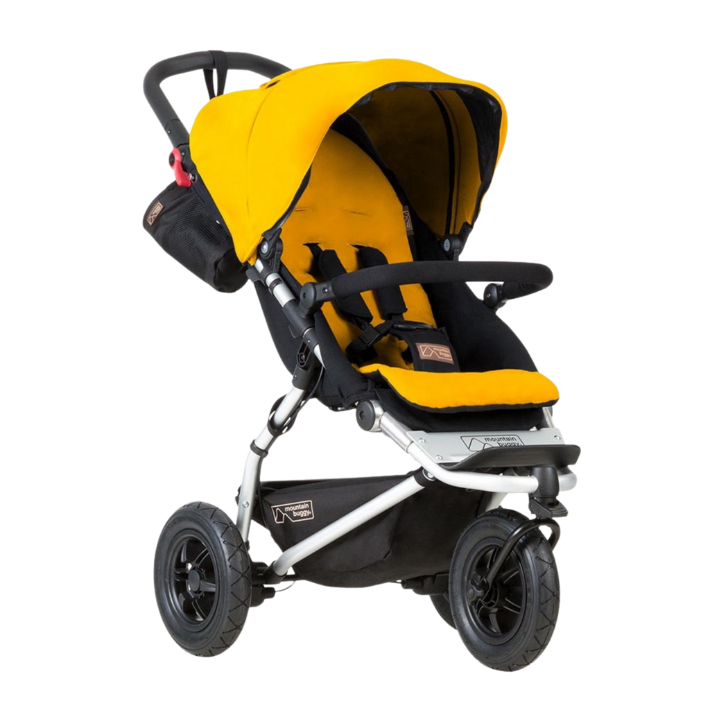 Mountain Buggy Swift